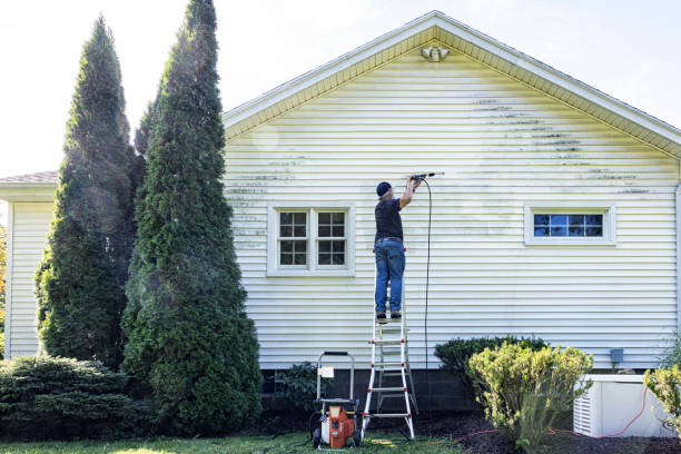 Best Gutter Cleaning and Brightening in Conesus Lake, NY